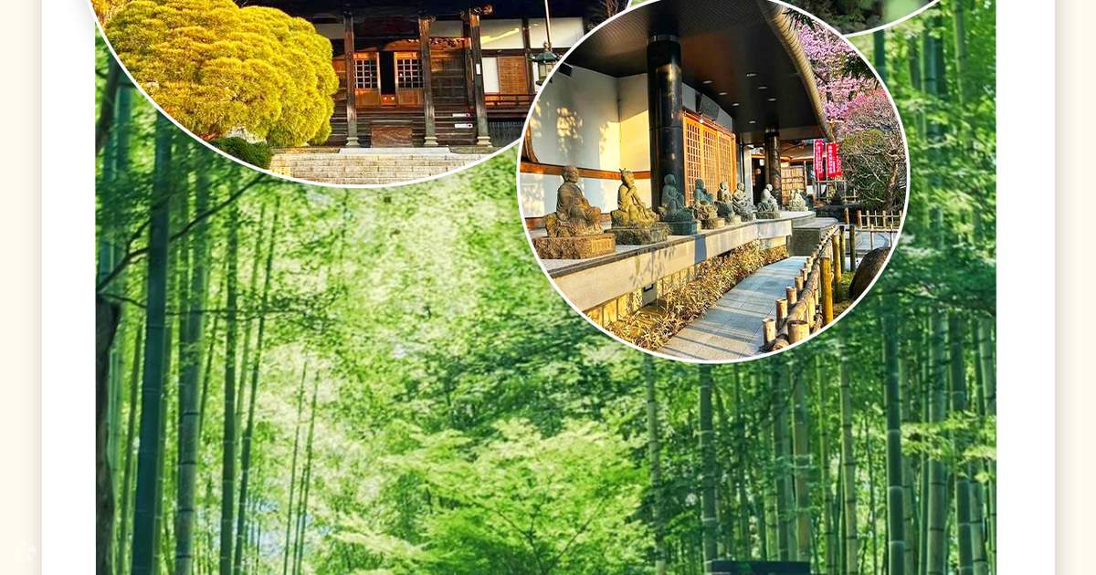 富士山&箱根&鎌倉&伊豆 人気インスタ映えスポット巡り&温泉ホテル二